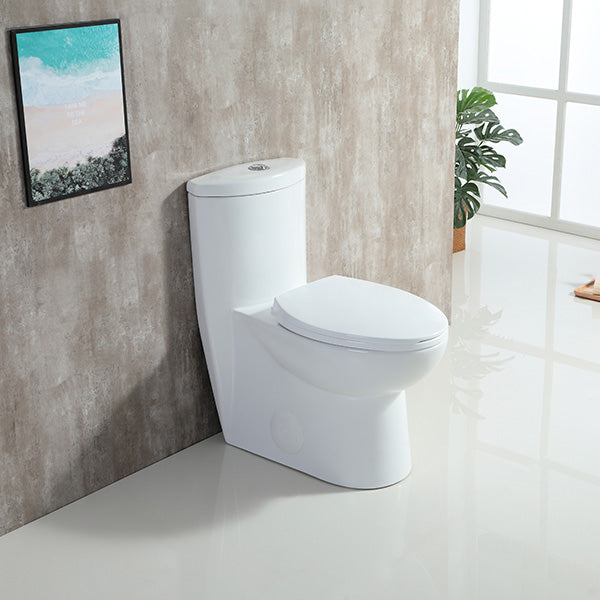 Nova One Piece Toilet - NGF-A005