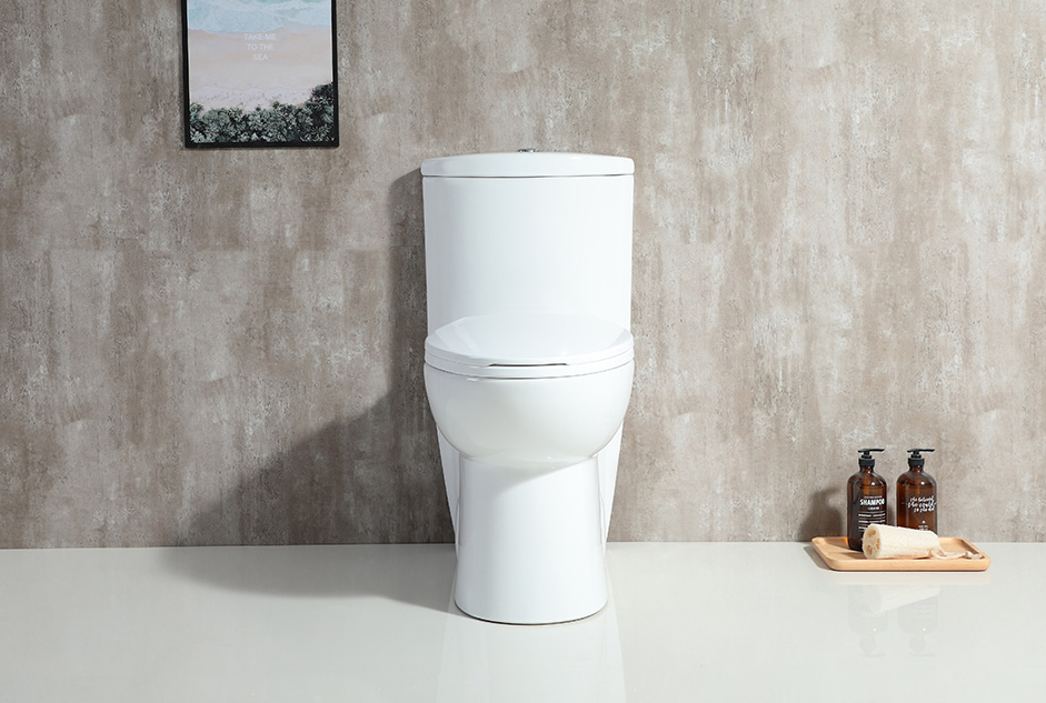 Nova One Piece Toilet - NGF-A005