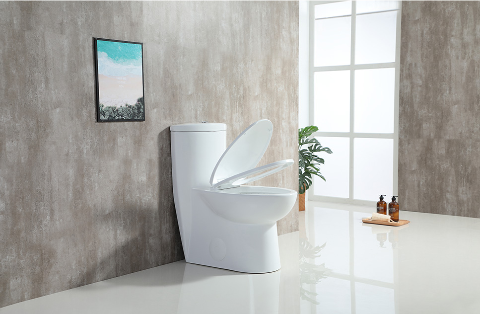 Nova One Piece Toilet - NGF-A005